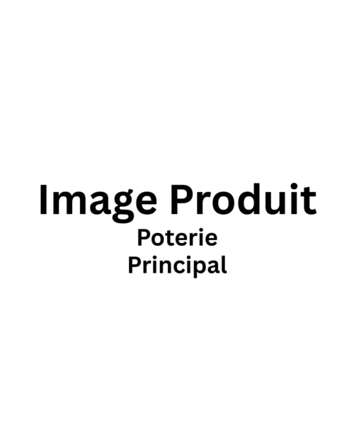Produit Poterie 4